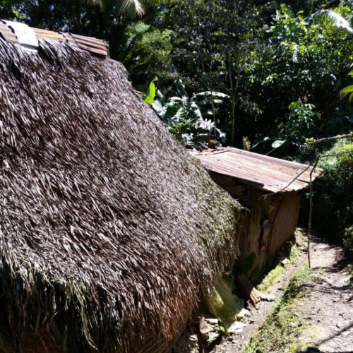 Mrs. Dominga and Mr. Artega House